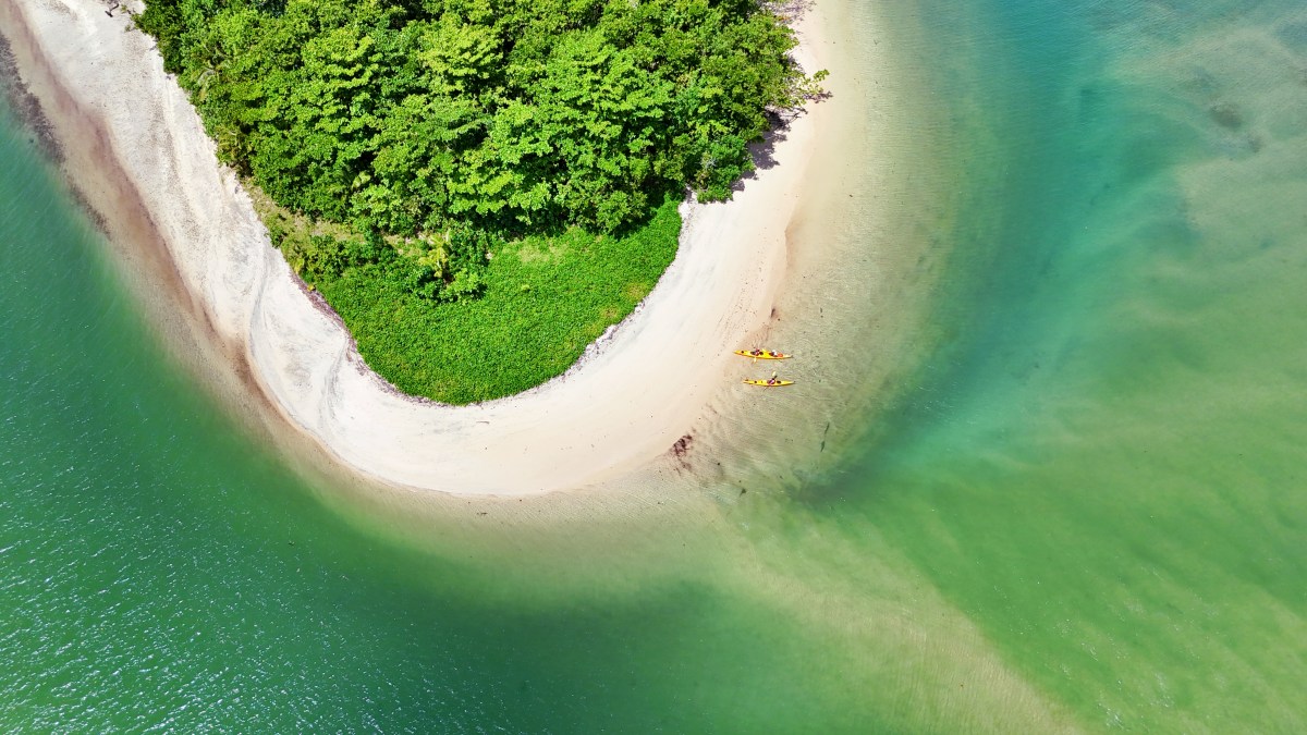 Trip Carver: This Year's Pick: Samoa Conservation Society